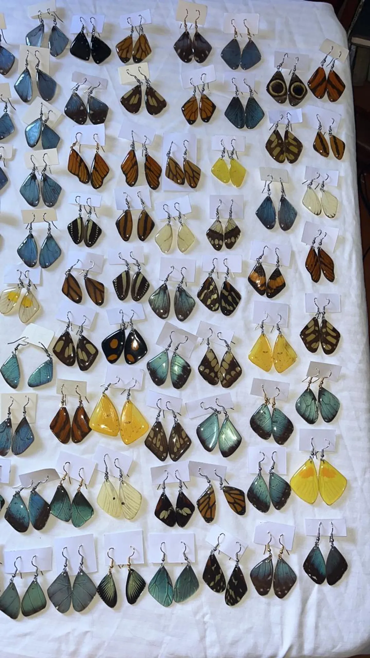 Claudia Elizondo's work